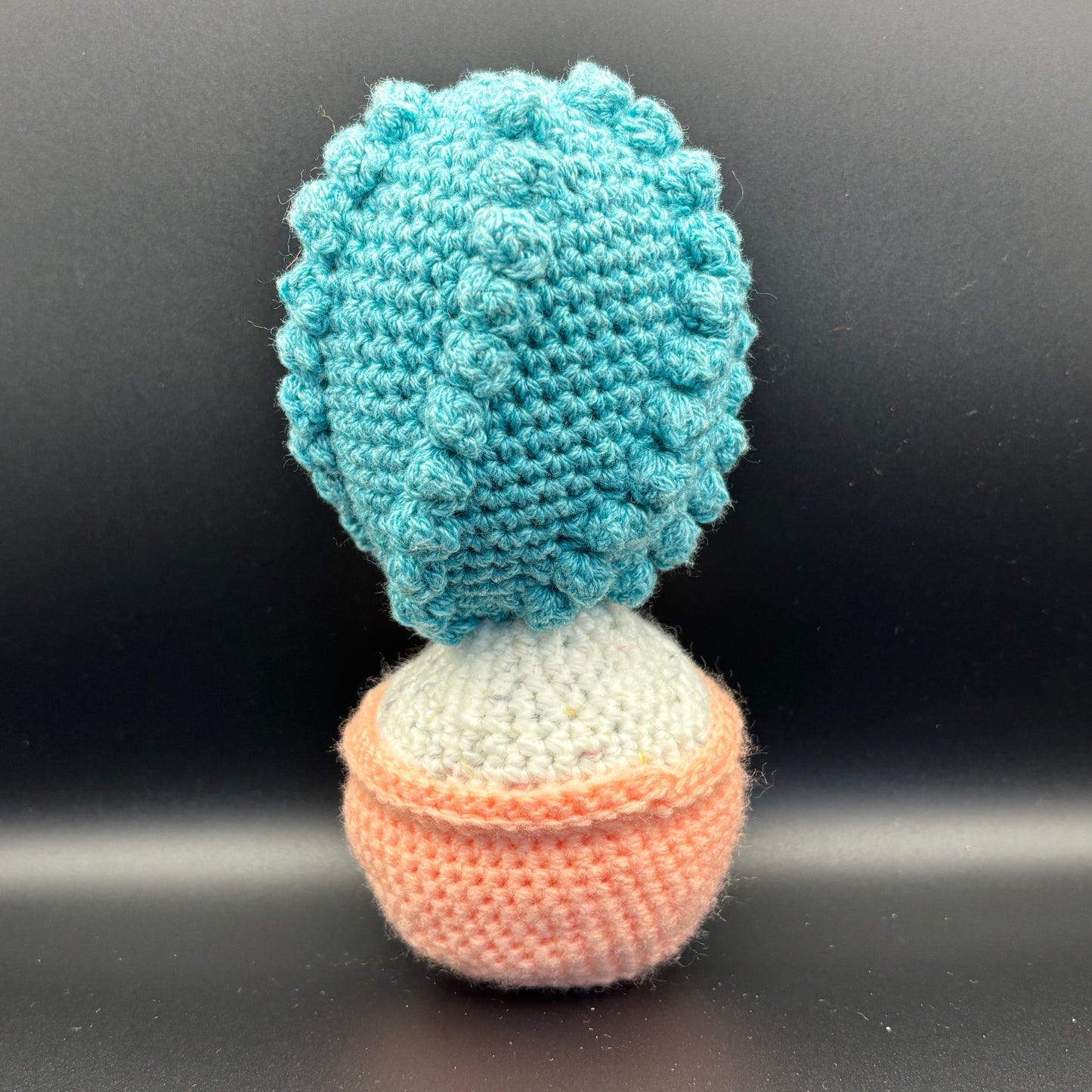 Cactus Crochet Toy
