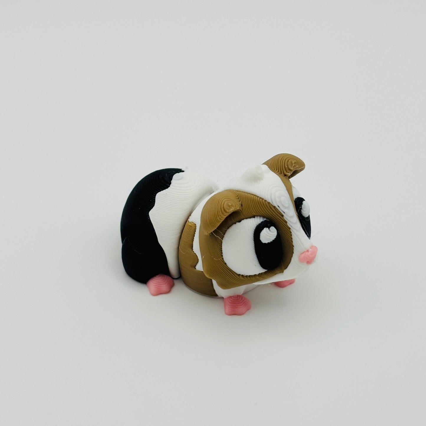 Guinea Pig Fidget
