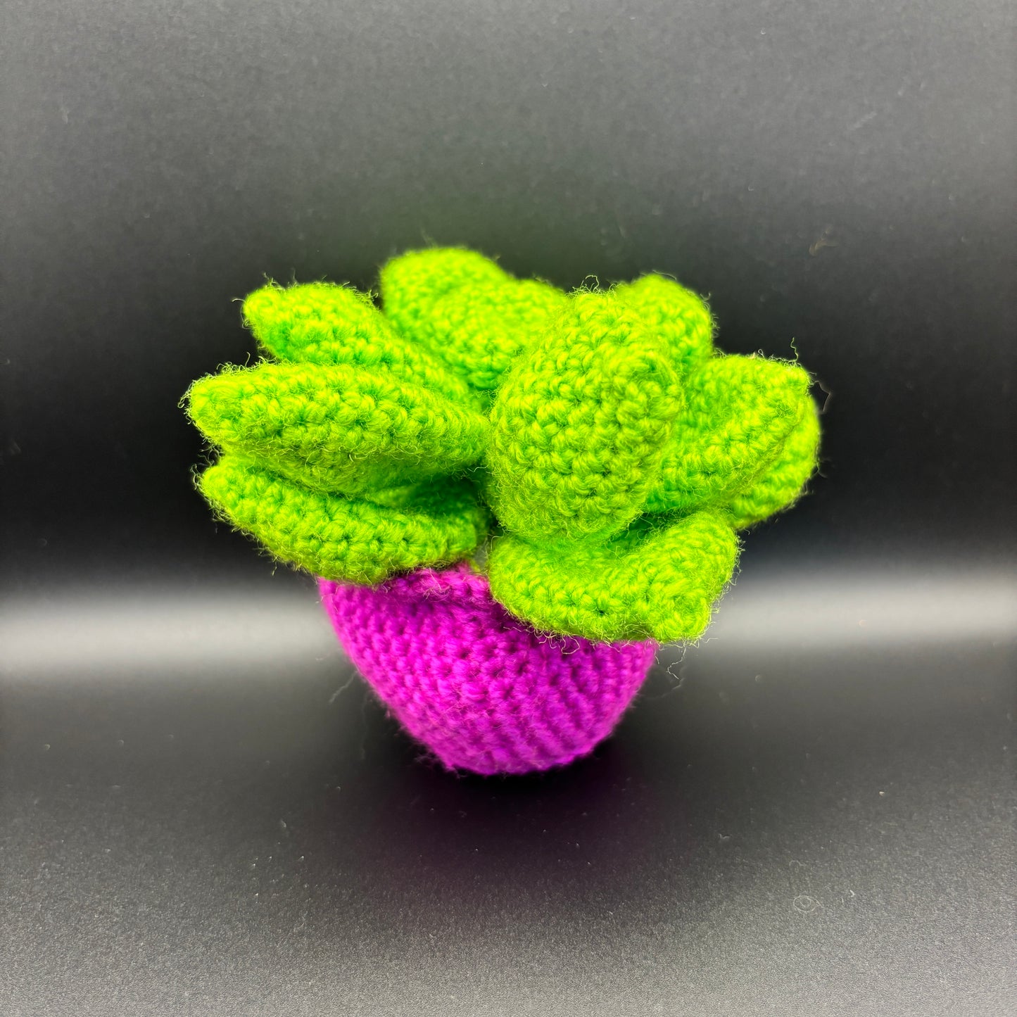 Succulent Crochet Toy