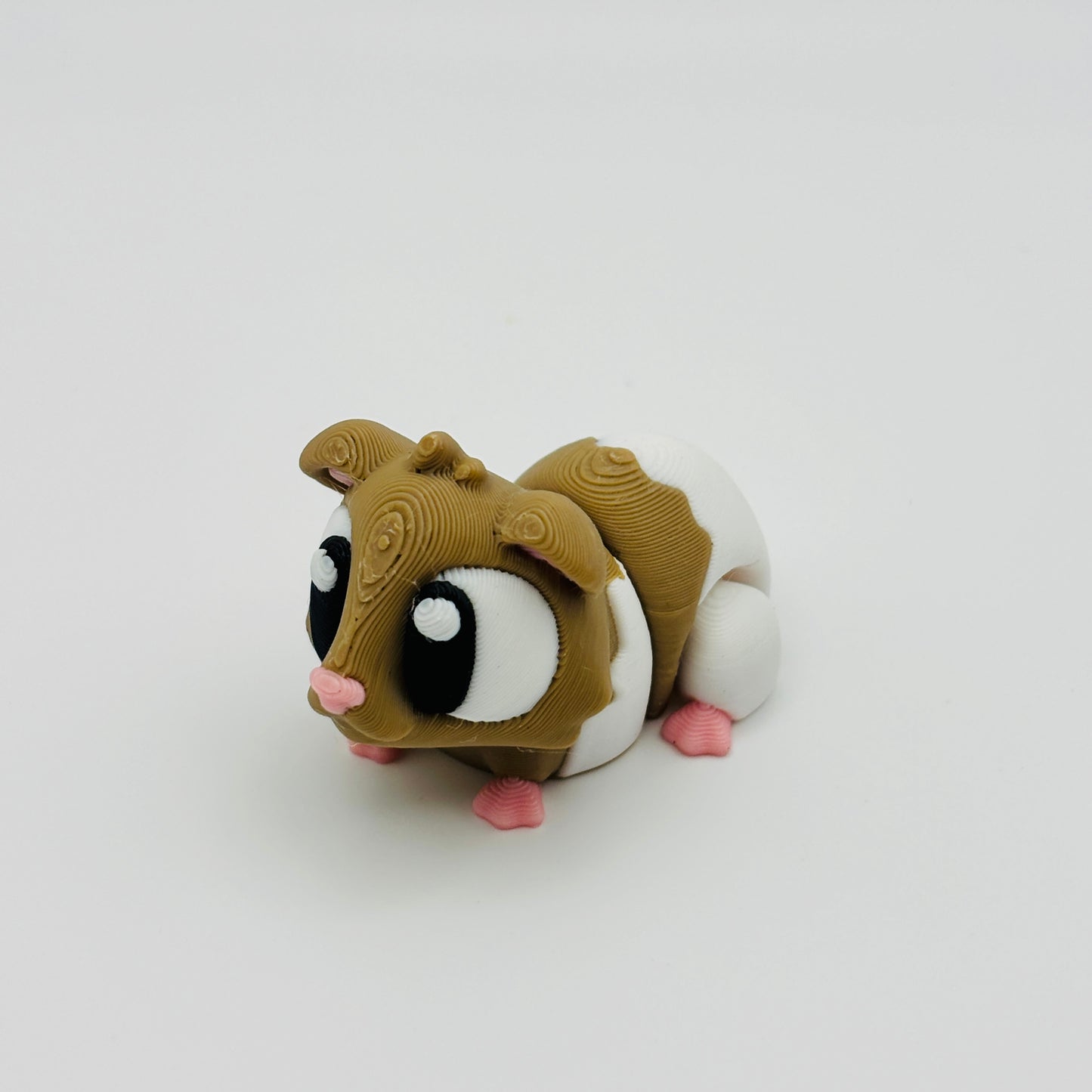 Guinea Pig Fidget