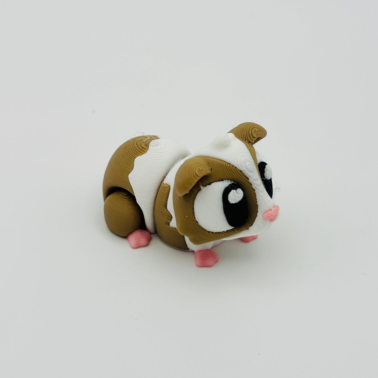 Guinea Pig Fidget