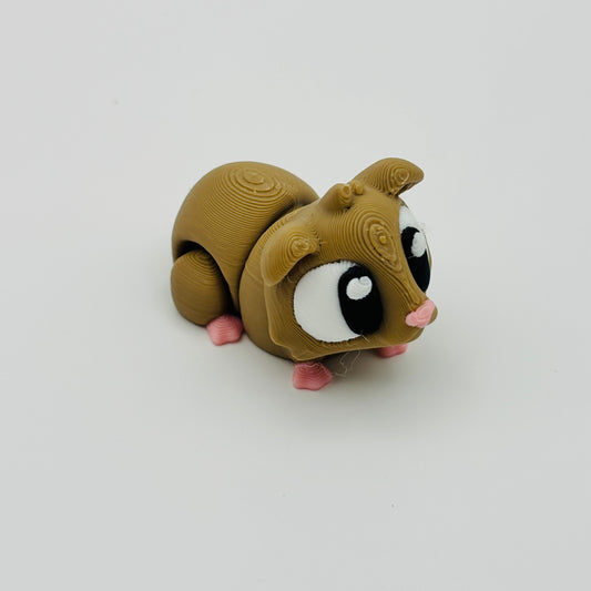 Guinea Pig Fidget
