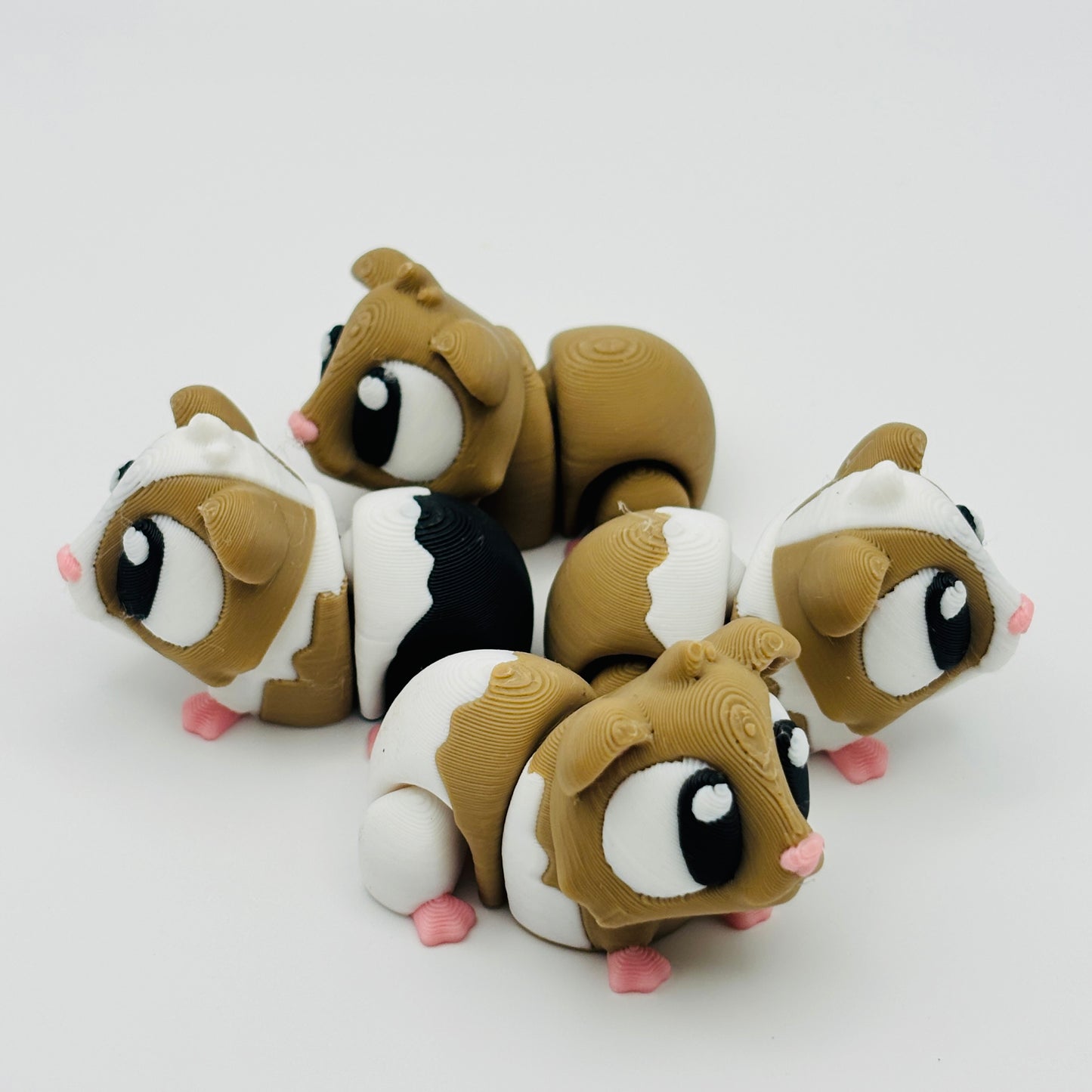 Guinea Pig Fidget