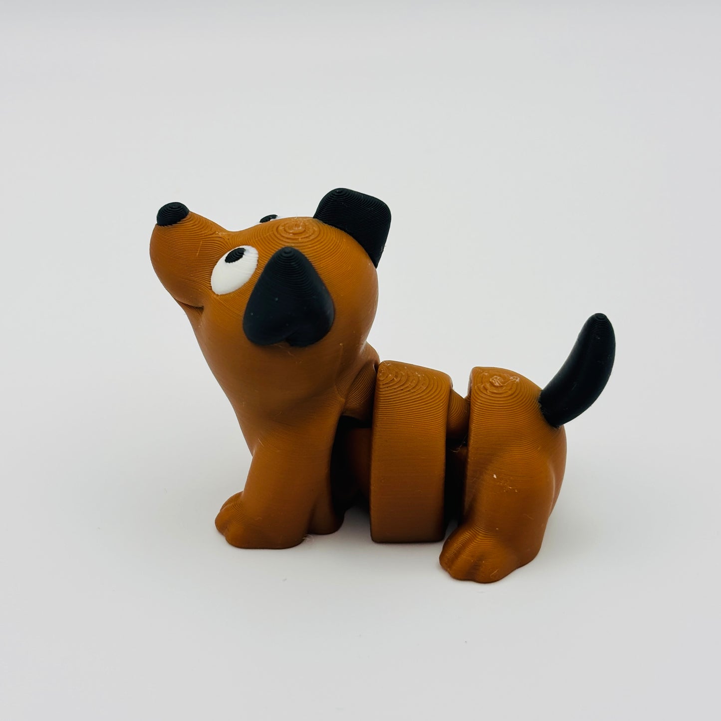 Dog Fidget